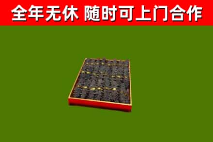 金昌回收海参